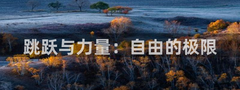 意昂5Kgame能源