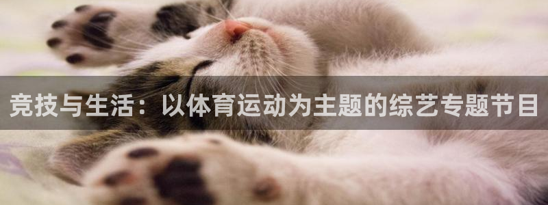 意昂5Kgame体育3