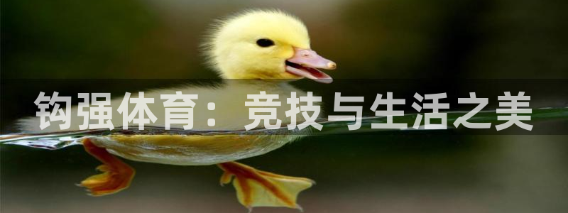 意昂5Kgame主管