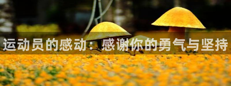 意昂5Kgame代理注册官网入口