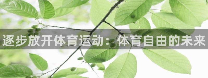 意昂5Kgame招商