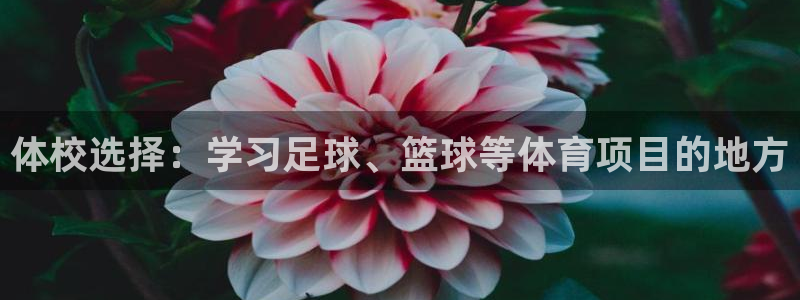 意昂5Kgame体育免费注册入口