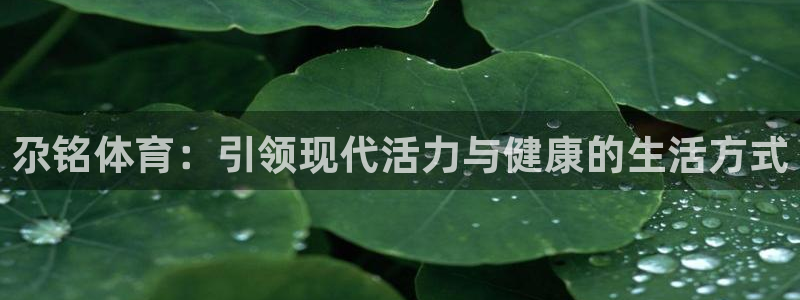 意昂5Kgame登录