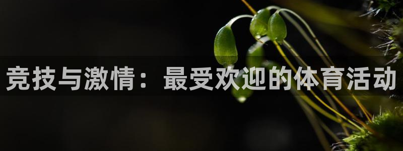 意昂5Kgame4