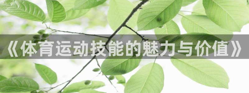 意昂5Kgame2体育登录入口